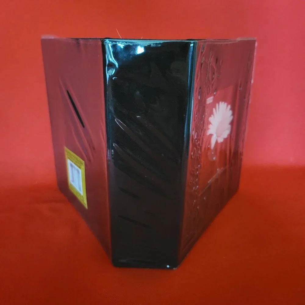 Pioneer Photo Album 100 Photos